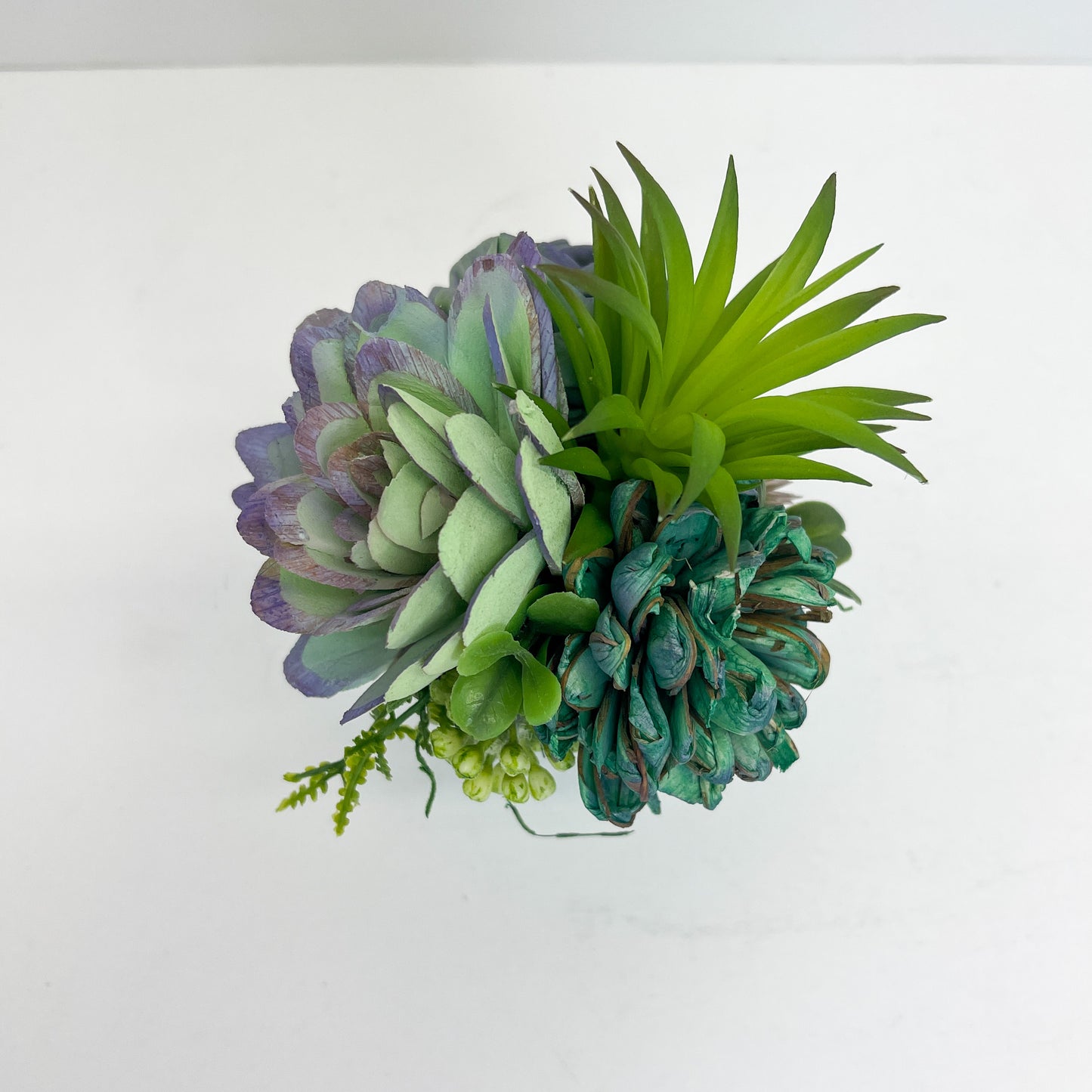 Mini Succulent Garden- Seafoam Green Terracotta