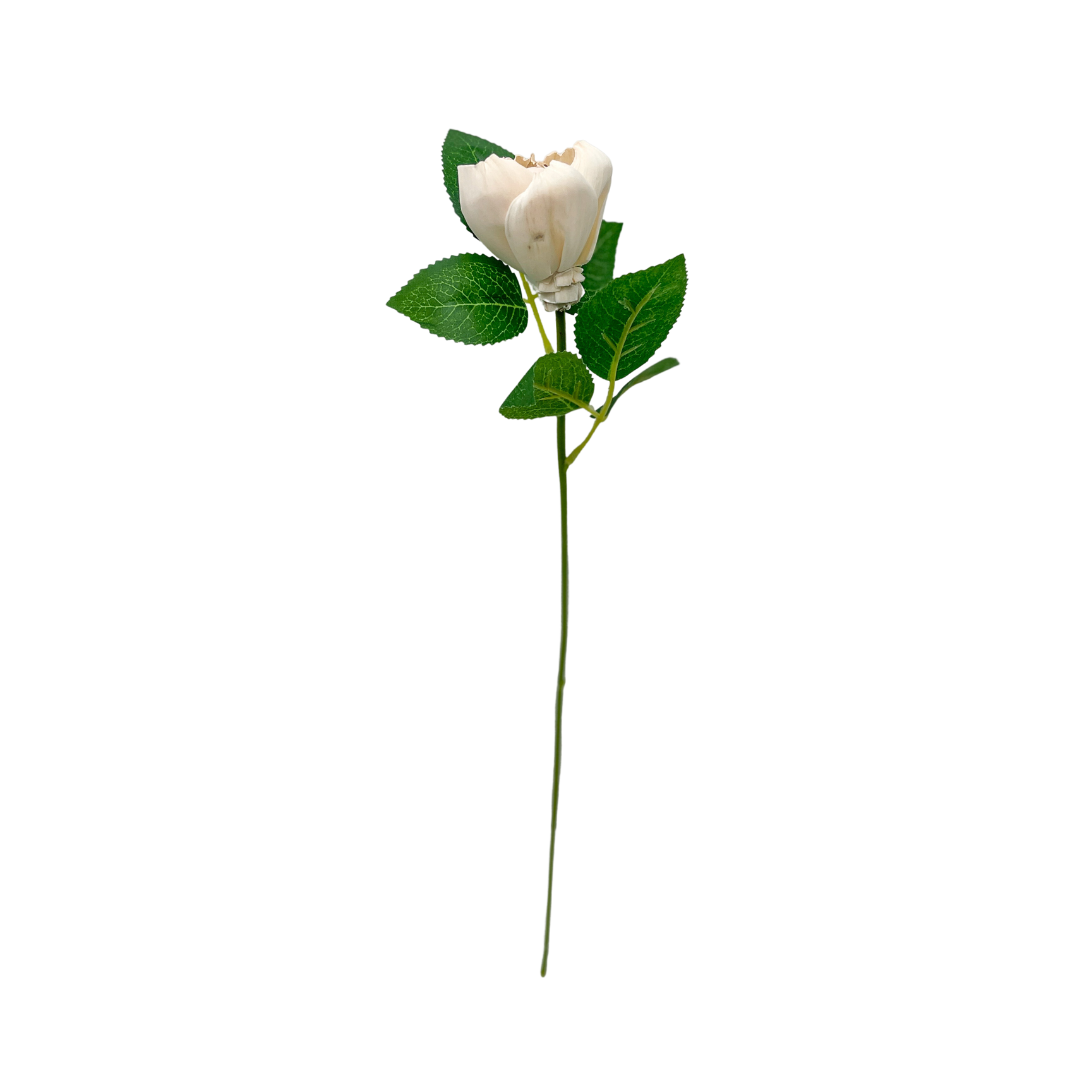 Single Stem Peony Bud - Luxe Blush