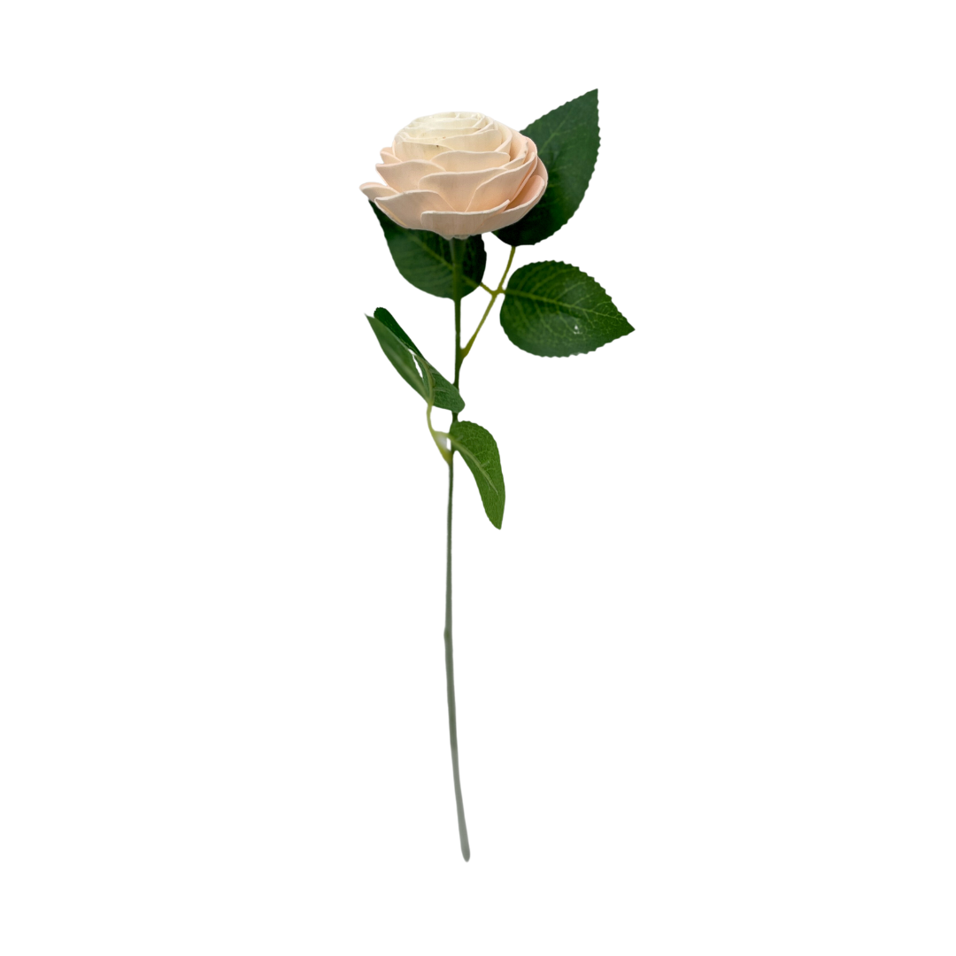 Single Stem Blooming Rose - Luxe Blush