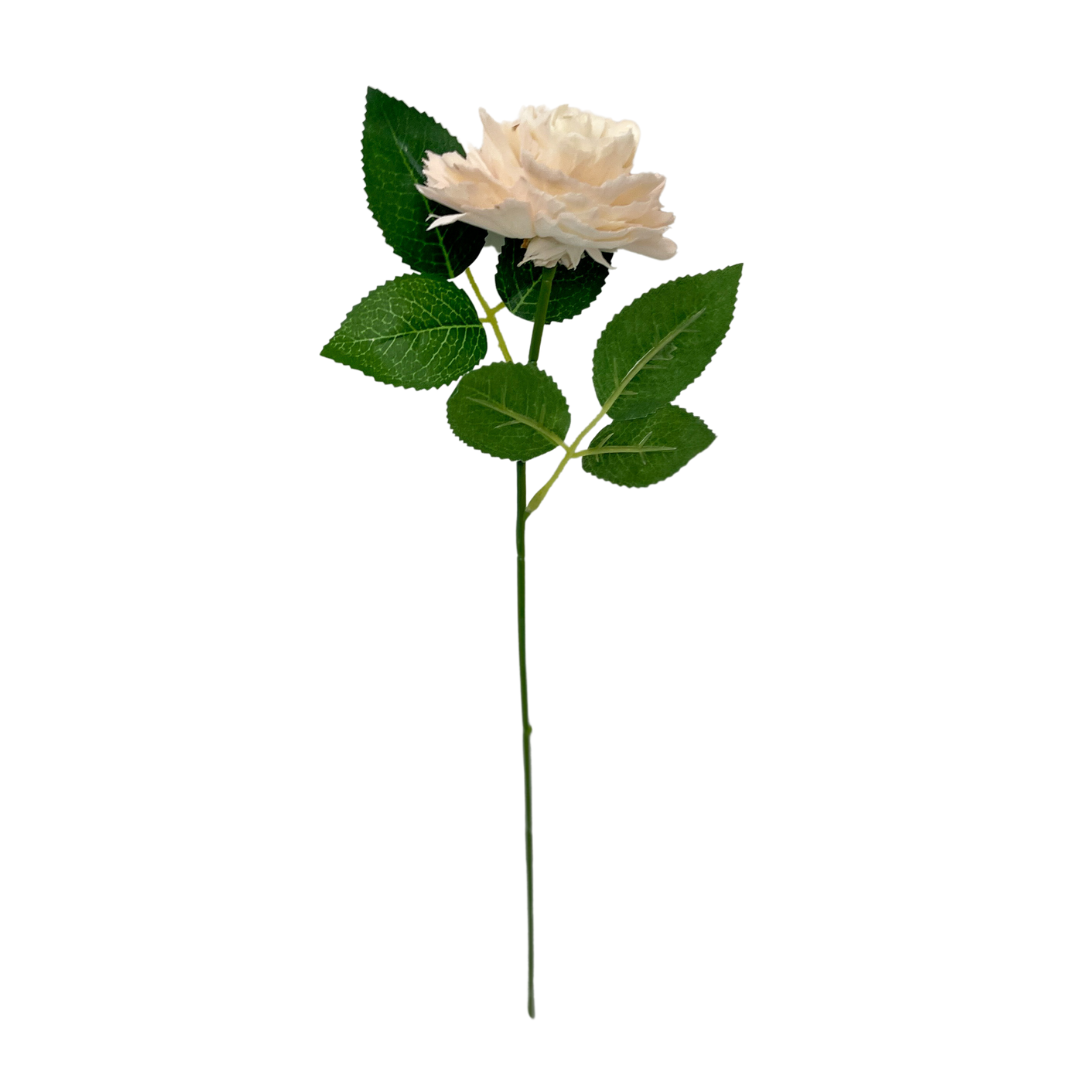 Single Stem Ruffled Rose - Luxe Blush