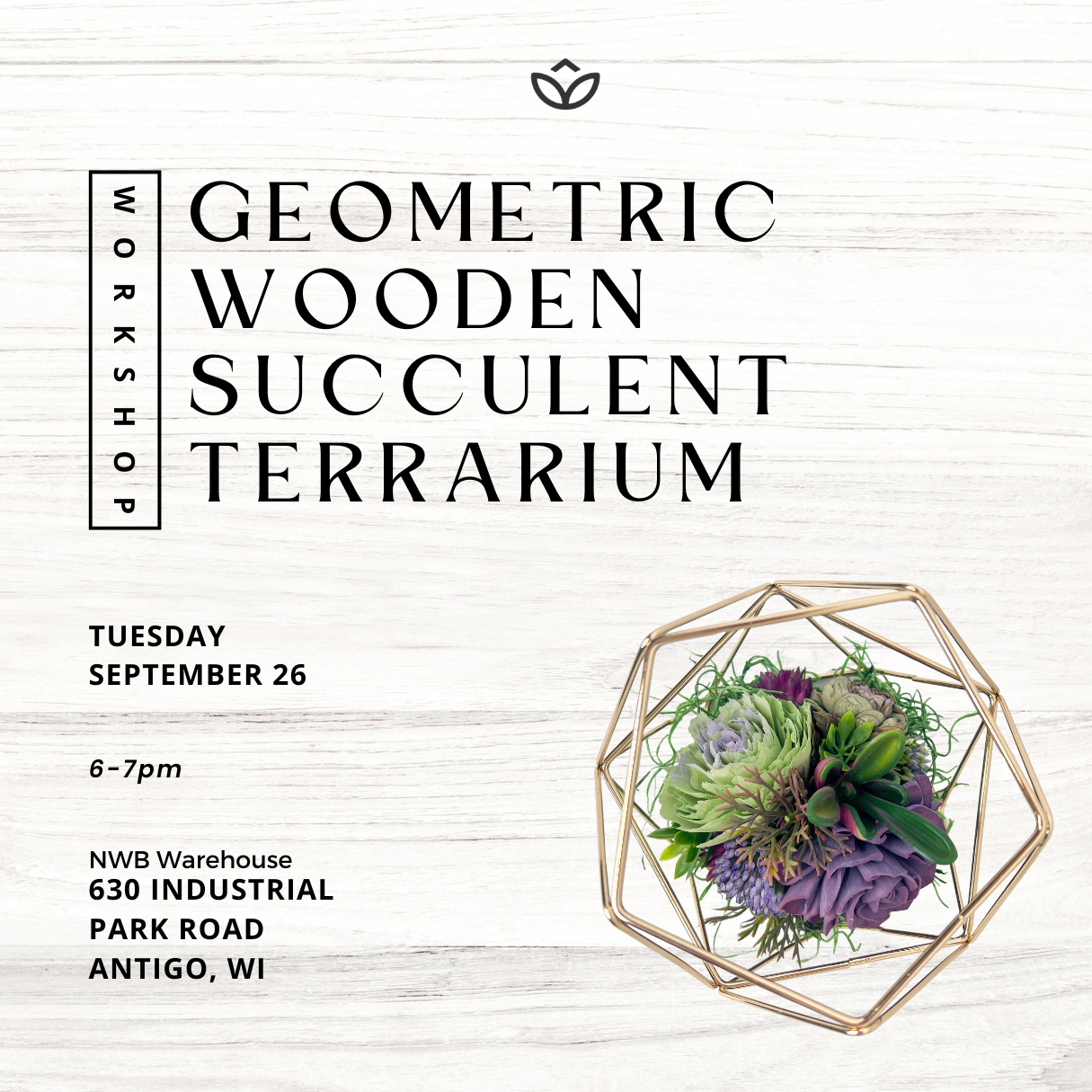 Geometric Succulent Terrarium Ticket 9/26