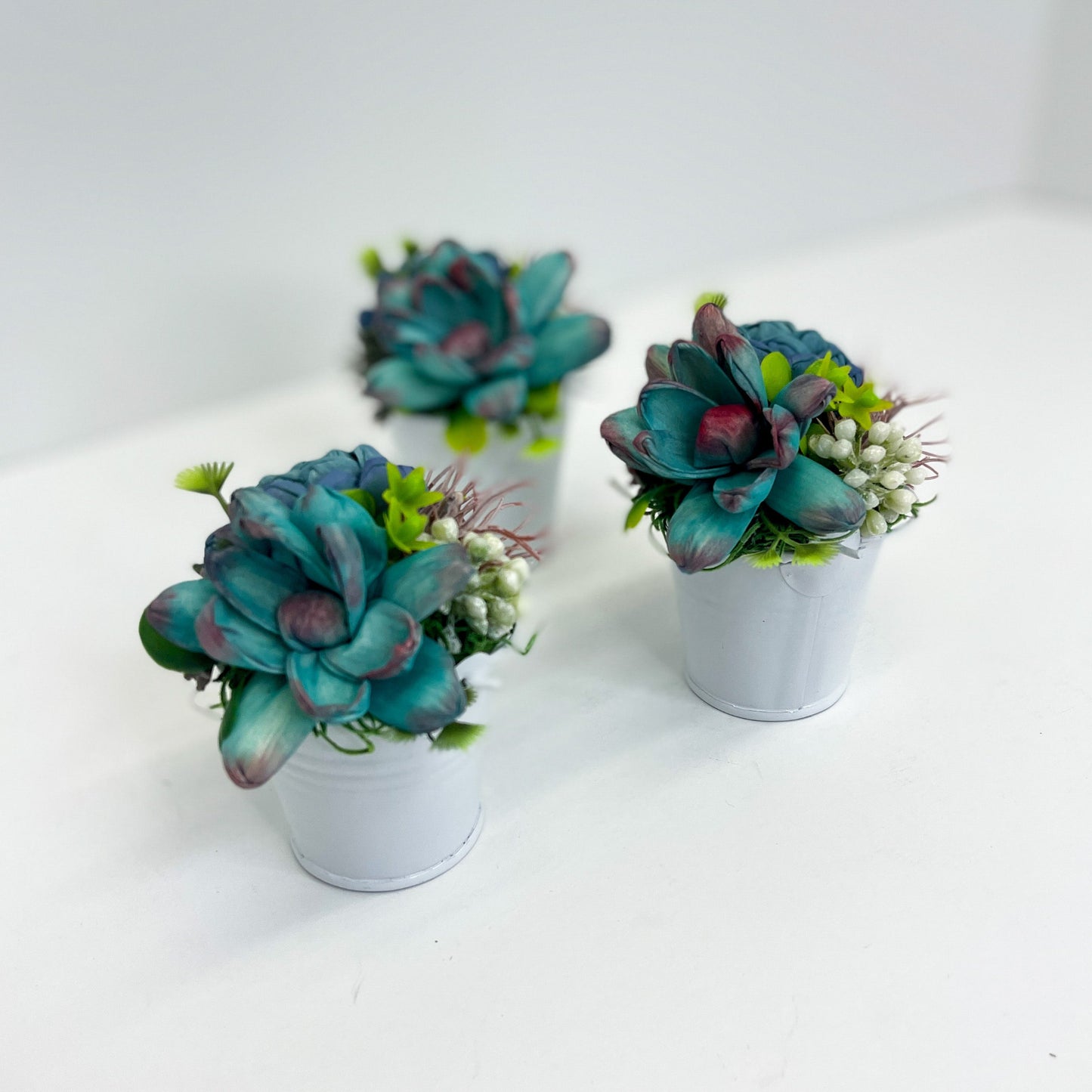 Itty Bitty Succulent Garden Set