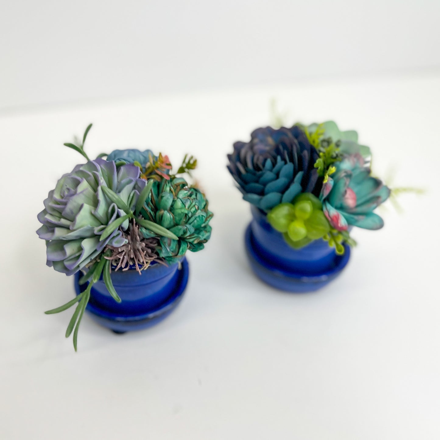 Mini Succulent Garden Set - Blue