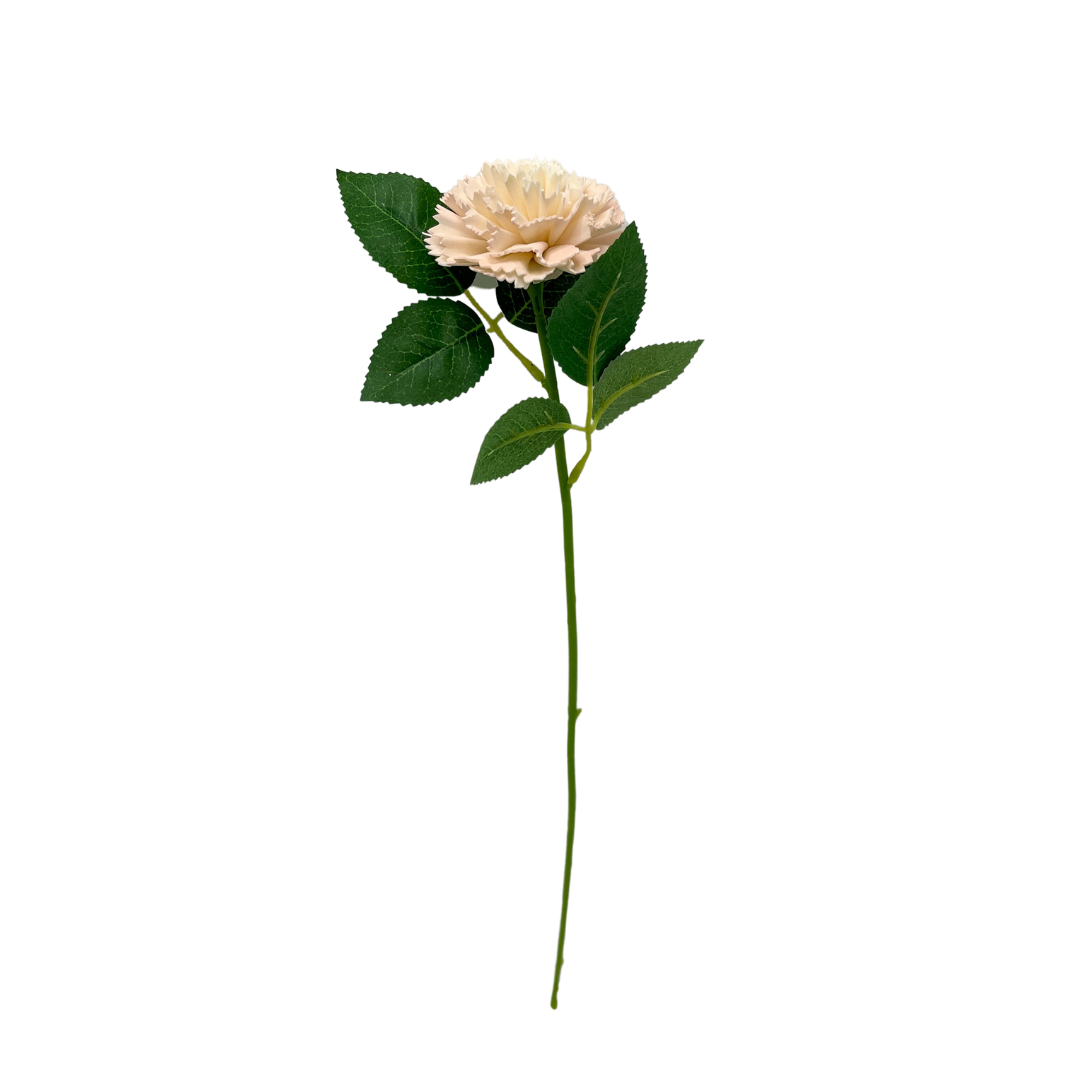 Single Stem Carnation - Luxe Blush