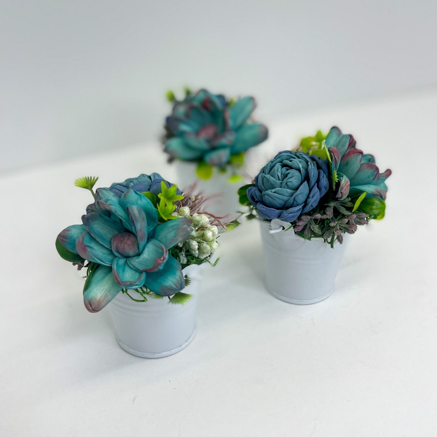 Itty Bitty Succulent Garden Set