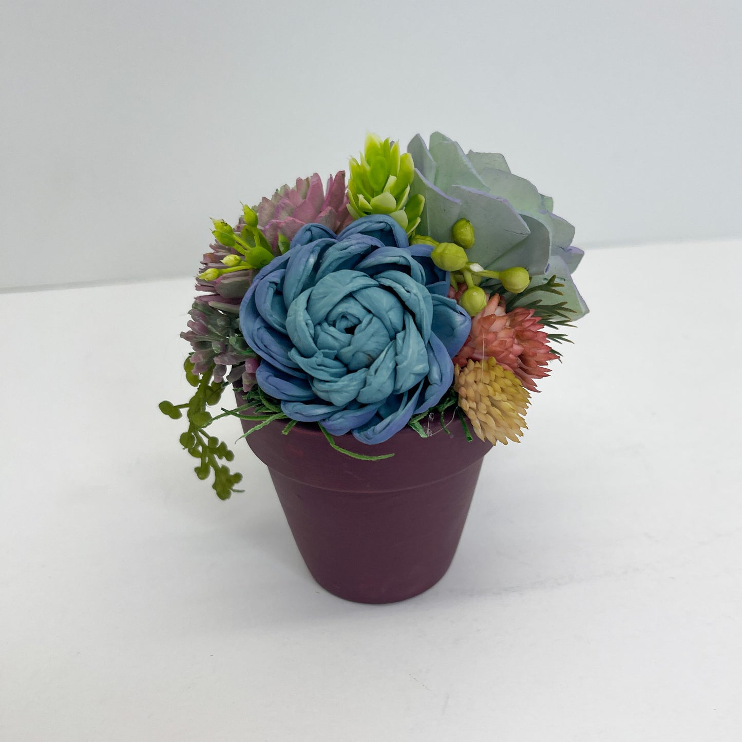 Mini Succulent Garden-Maroon Terracotta
