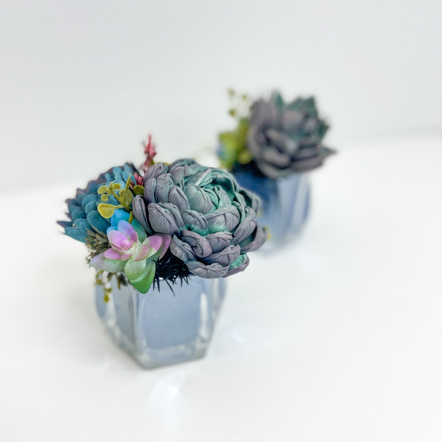 Mini Succulent Garden Set - Mirror Black Glass