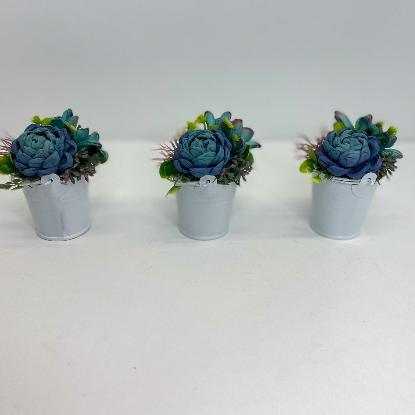 Itty Bitty Succulent Garden Set