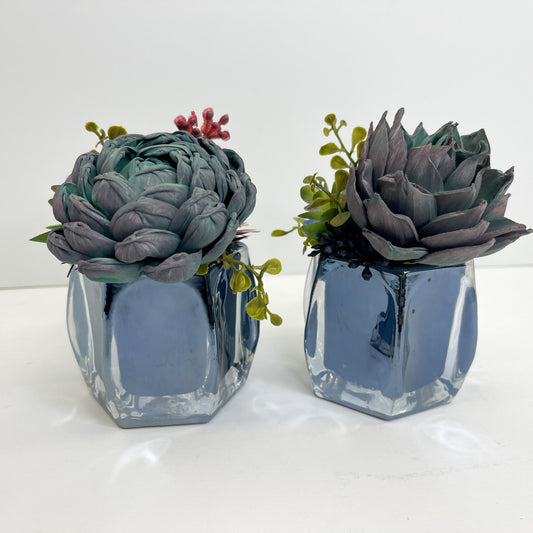 Set of 2 blue and black wooden succulents in blue pots. 