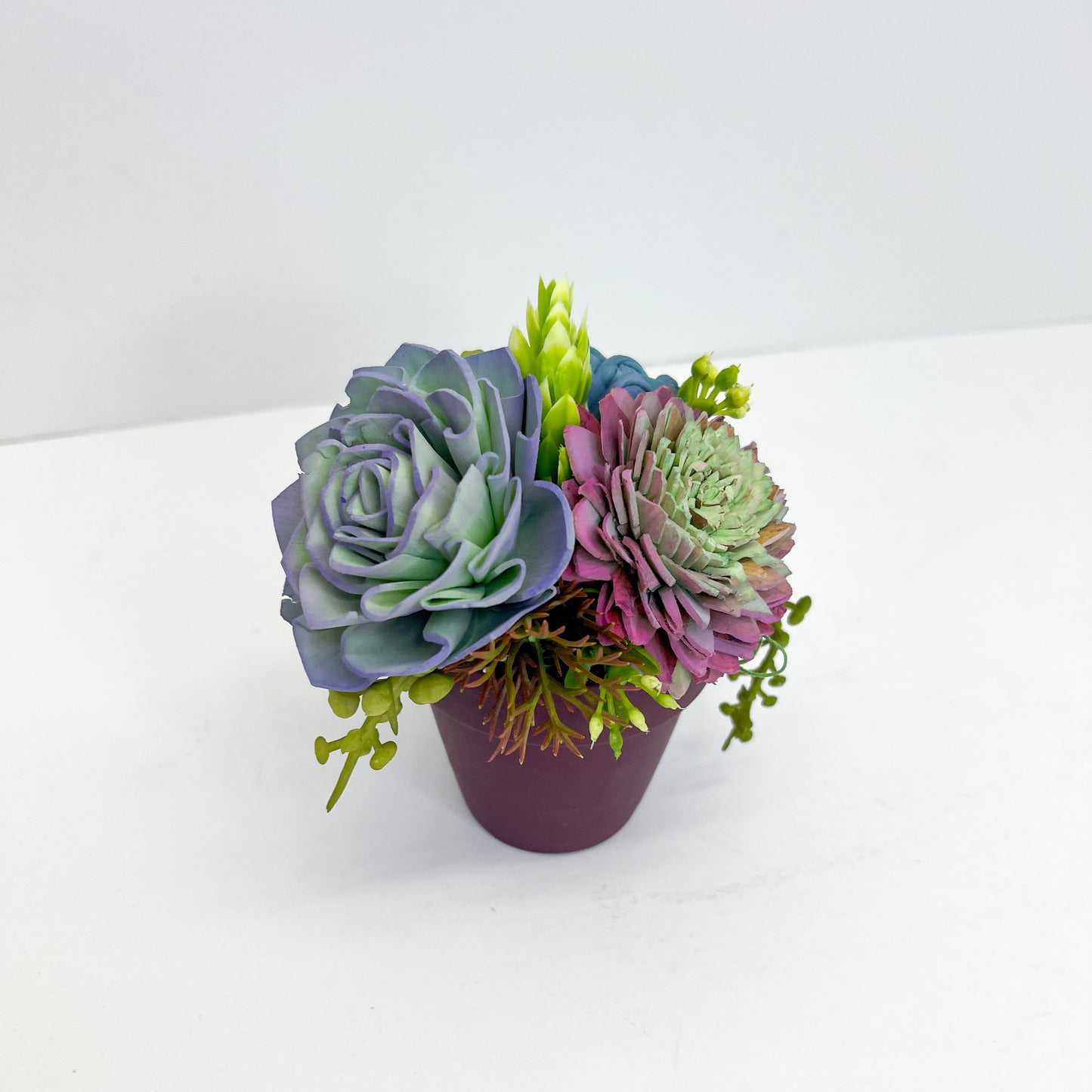Mini Succulent Garden-Maroon Terracotta