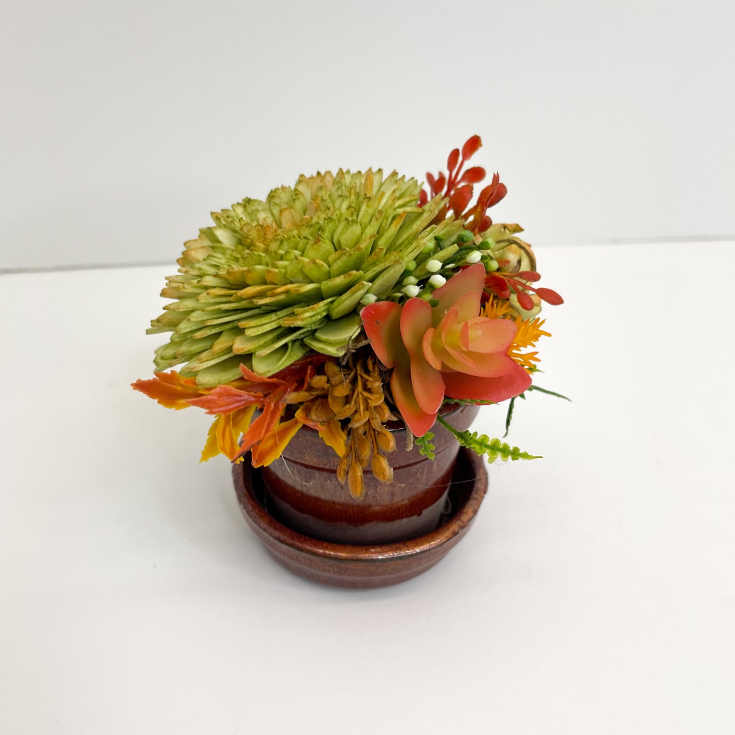 Mini Succulent Garden- Red and Copper
