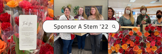 Sponsor a Stem 2022