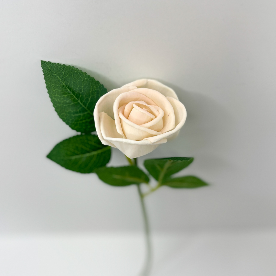 Single stem wooden ivory curled rose with green leaves.
