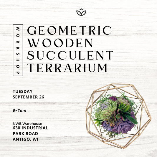 Geometric Succulent Terrarium Ticket 9/26