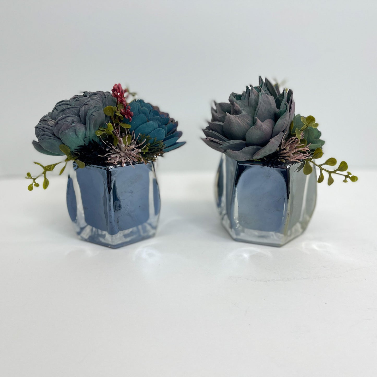 Mini Succulent Garden Set - Mirror Black Glass