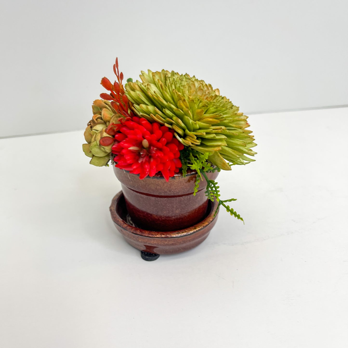 Mini Succulent Garden- Red and Copper