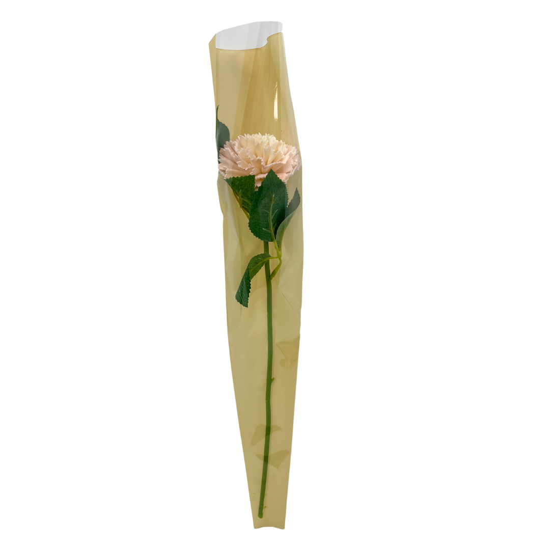 Single Stem Carnation - Luxe Blush