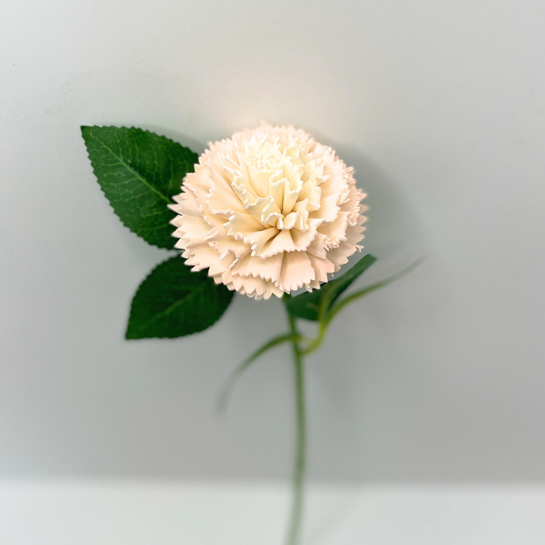Single stem wooden luxe blush color carnation with green leaves.