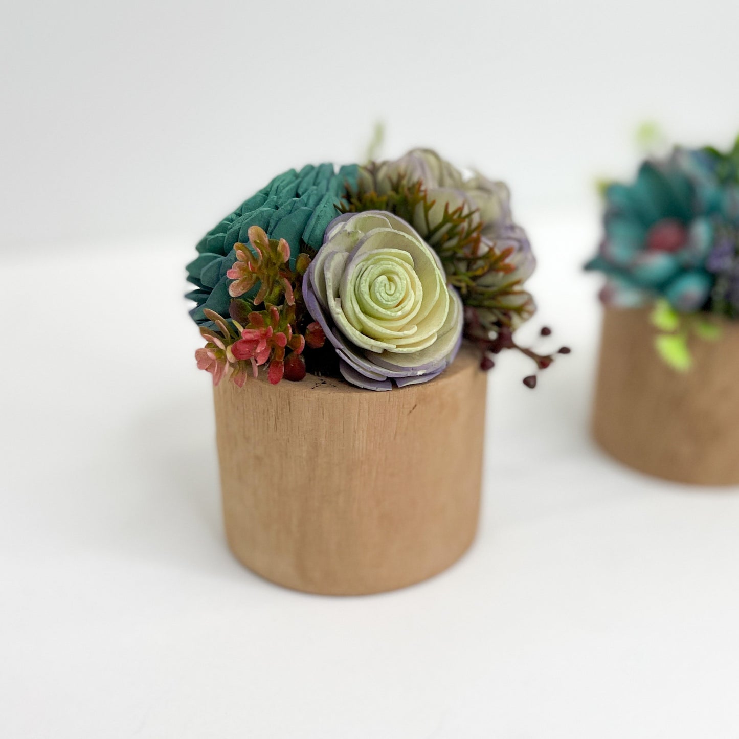 Mini Succulent Garden- in wooden vase