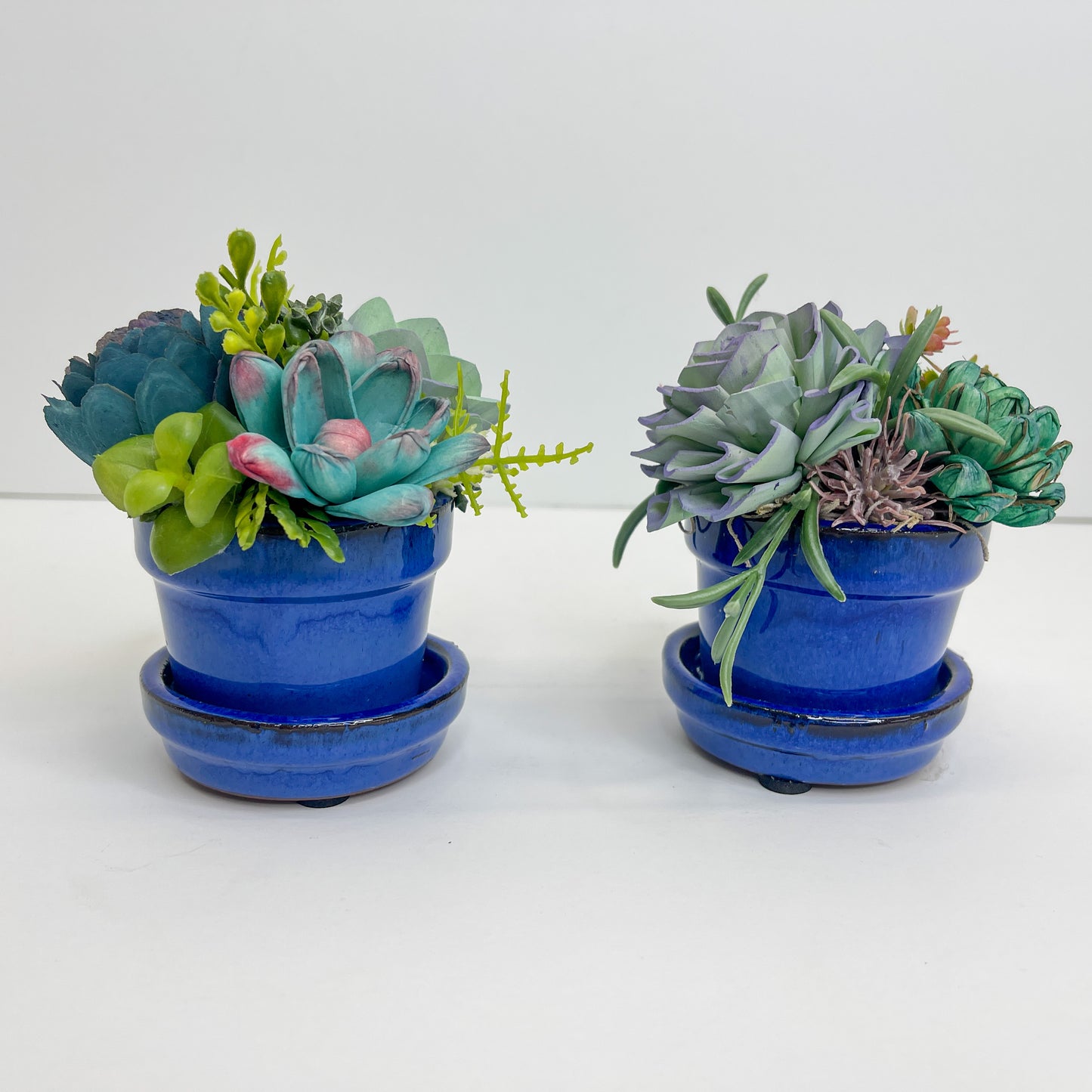 Mini Succulent Garden Set - Blue
