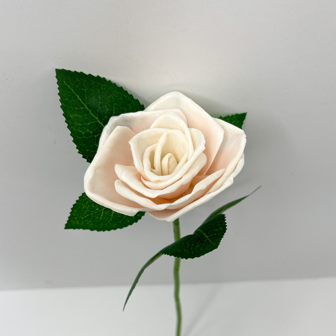 Single stem wooden tendril rose with green leaves.