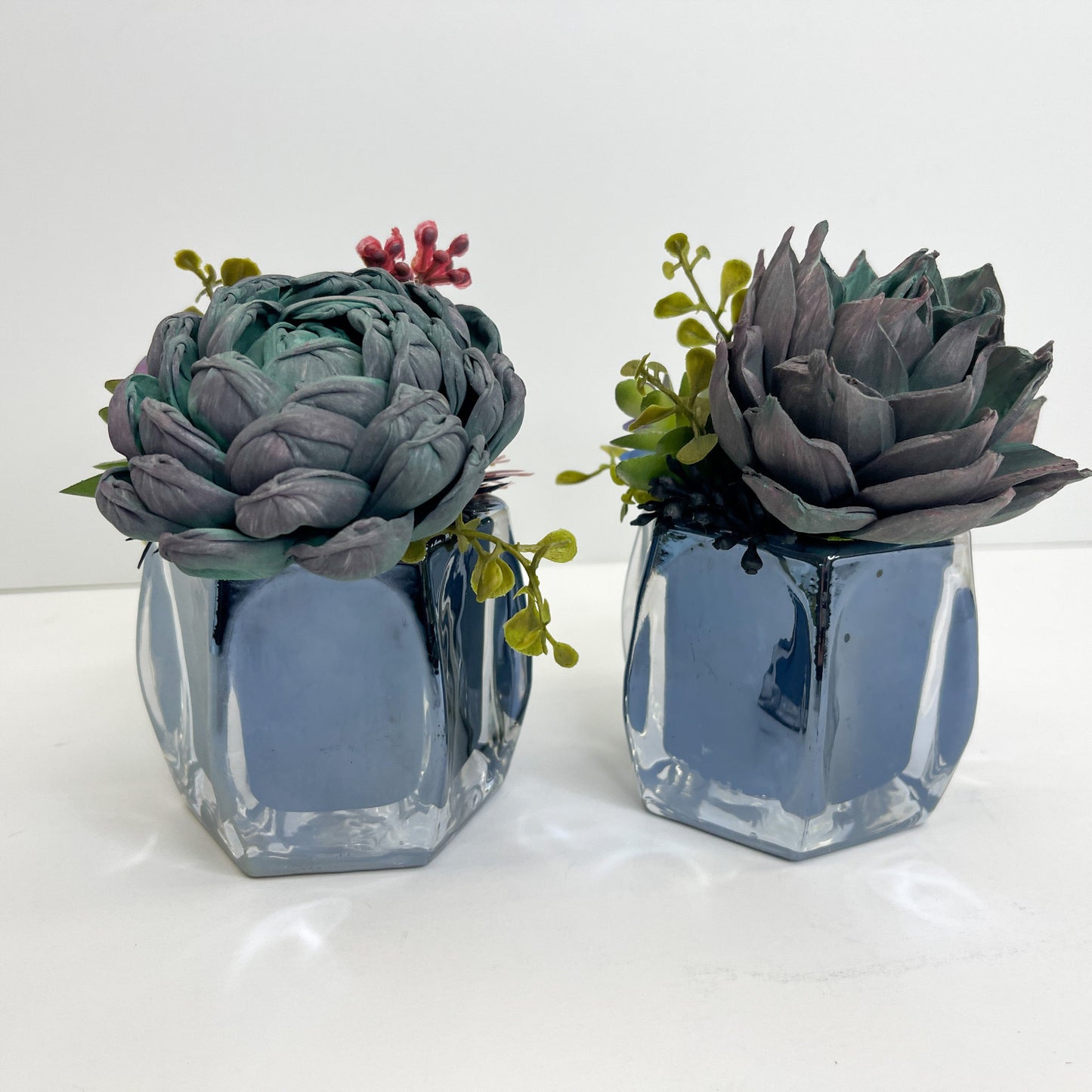 Mini Succulent Garden Set - Mirror Black Glass